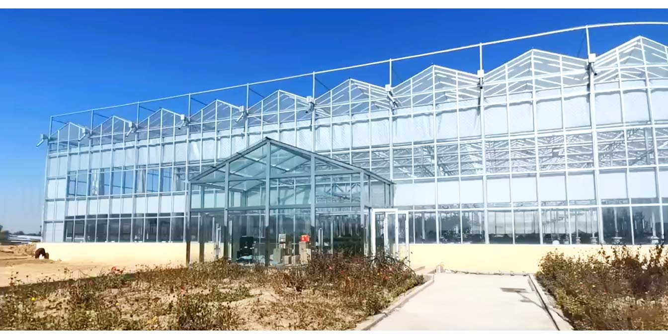 大路鎮苗家灘社區項目-智能溫室、日光溫室建設項目_13.jpg