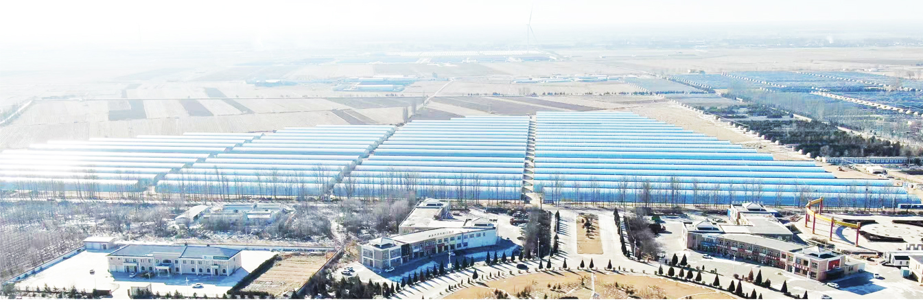 準格爾旗現代設施農業科技轉化示范園_05.jpg
